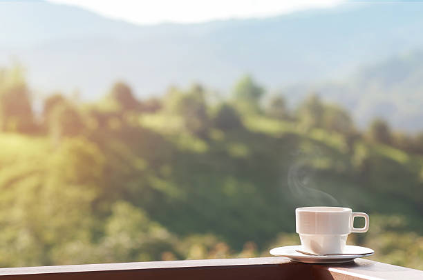 istock White cup of hot coffee with natural and mountains. 599773512