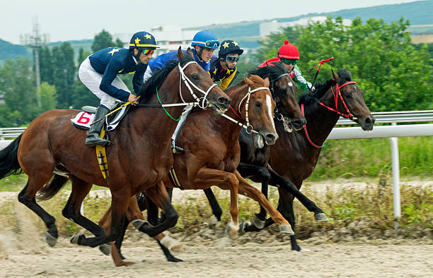 corrida de cavalos em pyatigorsk - flat racing - fotografias e filmes do acervo