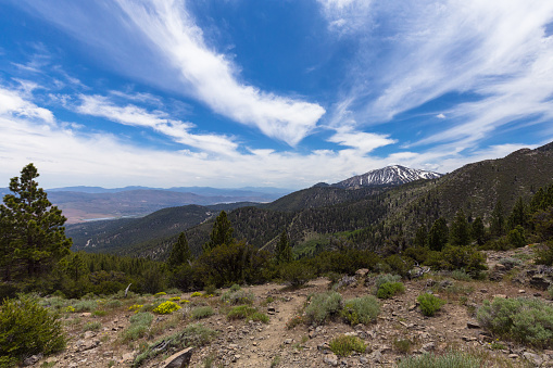 Washoe valley and mount Rose Ski resort from the hiking path that leads to Church's Pond in Galena Forest