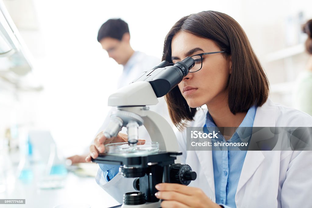 Lab research Chemist or scientist looking in microscope Microscope Stock Photo