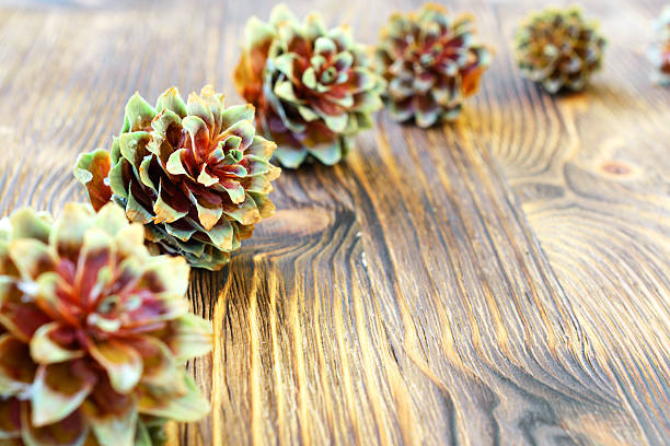 istock Several spruce cones on the wooden background. 599778932