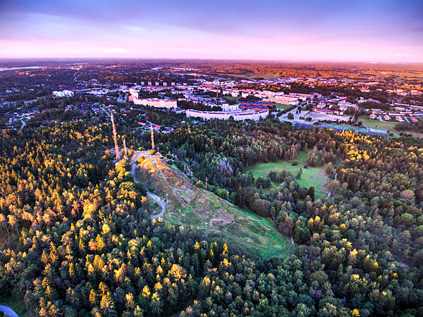istock Swedish Small Town Aerial 599788182