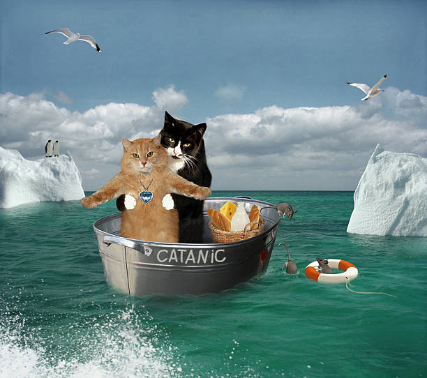 istock Two cats are traveling by a basin. 599788668