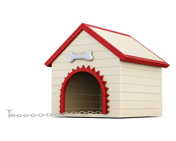 Dog house with chain isolated on white background. 3d render image.