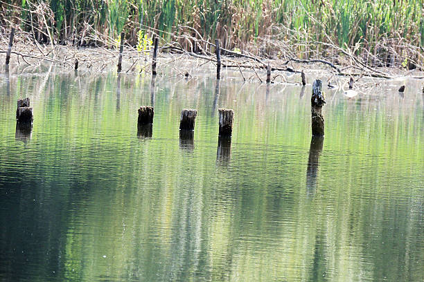 istock The reflection of the sky in the water 599793966
