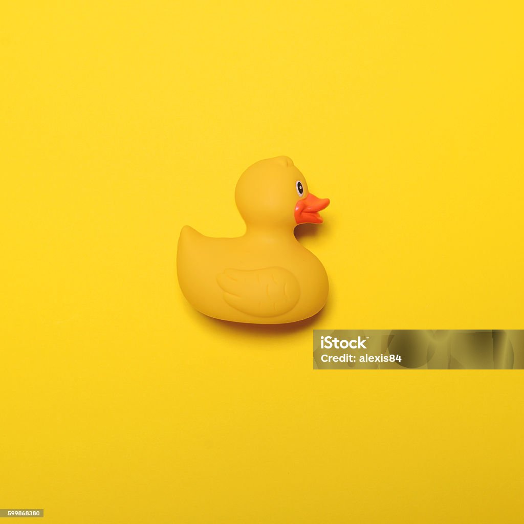 Yellow rubber duck on yellow background - Minimal design Duck - Bird Stock Photo