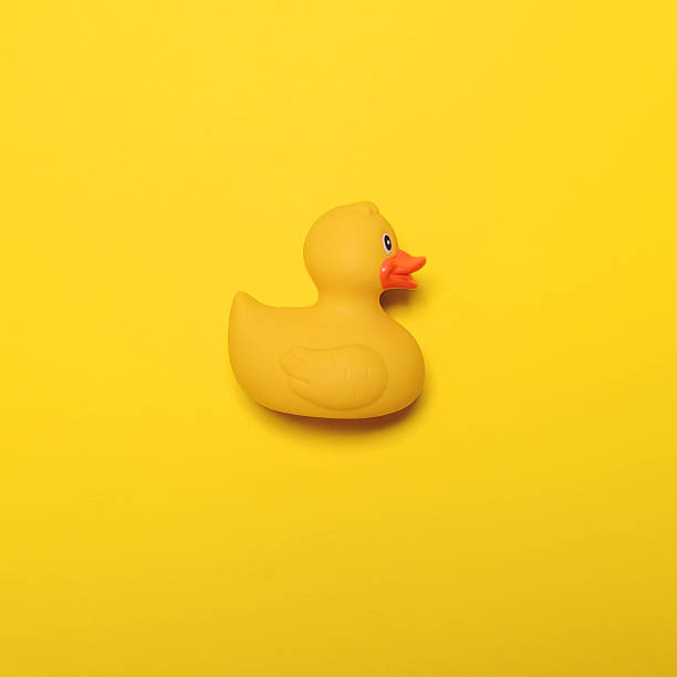 yellow rubber duck on yellow background - minimal design - duck toy imagens e fotografias de stock