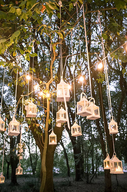 istock Light bulbs and lanterns in oak forest at sunset 599872358
