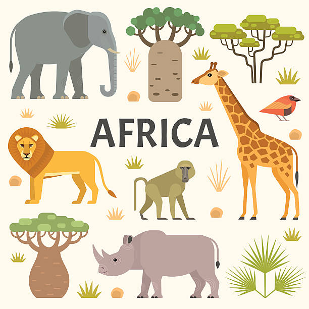 african natura - african baobab stock illustrations