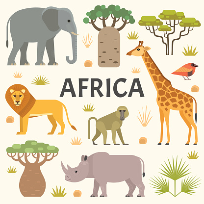 Vector collection with african flat style animals and plants