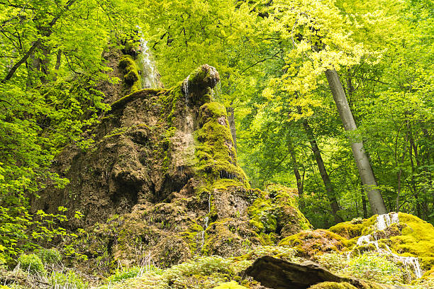 Urach Waterfalls, Bad Urach, Germany Uracher Wasserfälle, Bad Urach, Germany on a cloudy day wildwater stock pictures, royalty-free photos & images