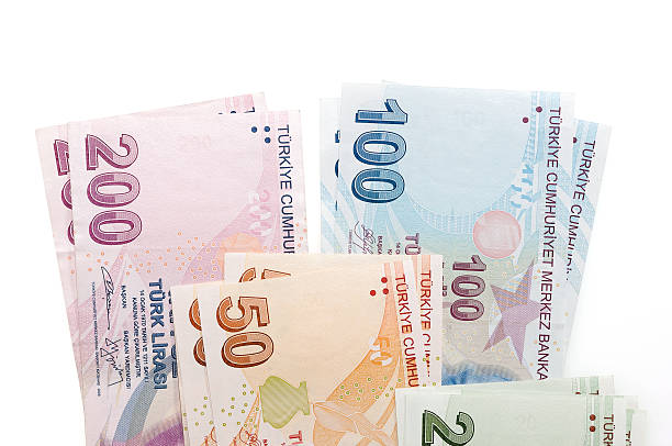 istock Variety of Turkish Lira 599877694
