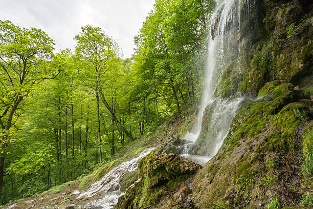 Urach Waterfalls, Bad Urach, Germany Uracher Wasserfälle, Bad Urach, Germany on a cloudy day wildwater stock pictures, royalty-free photos & images