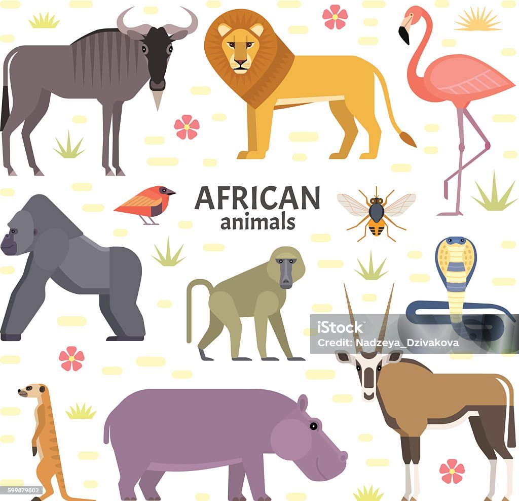 African animals Vector illustration of African animals and birds: hippopotamus, lion, gorilla, baboon, flamingos, cobra, wildebeest, oryx antelope, meerkat, isolated on transparent background. Illustration stock vector