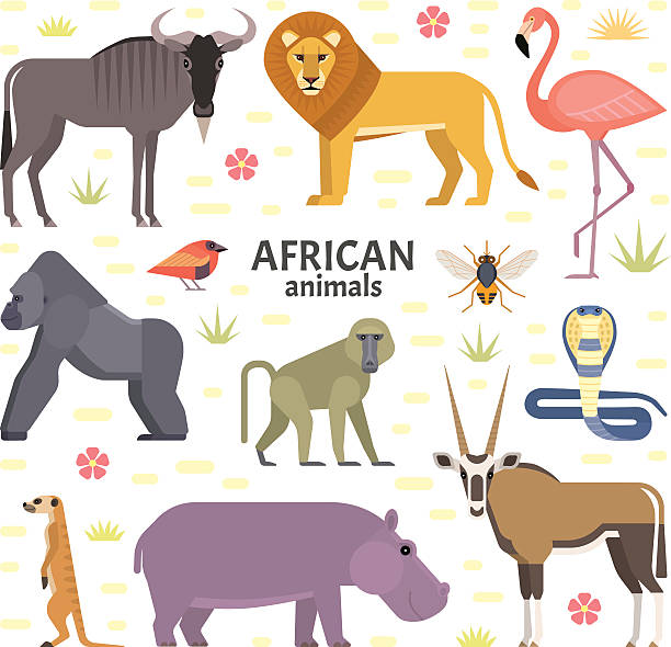 African animals Vector illustration of African animals and birds: hippopotamus, lion, gorilla, baboon, flamingos, cobra, wildebeest, oryx antelope, meerkat, isolated on transparent background. meerkat stock illustrations