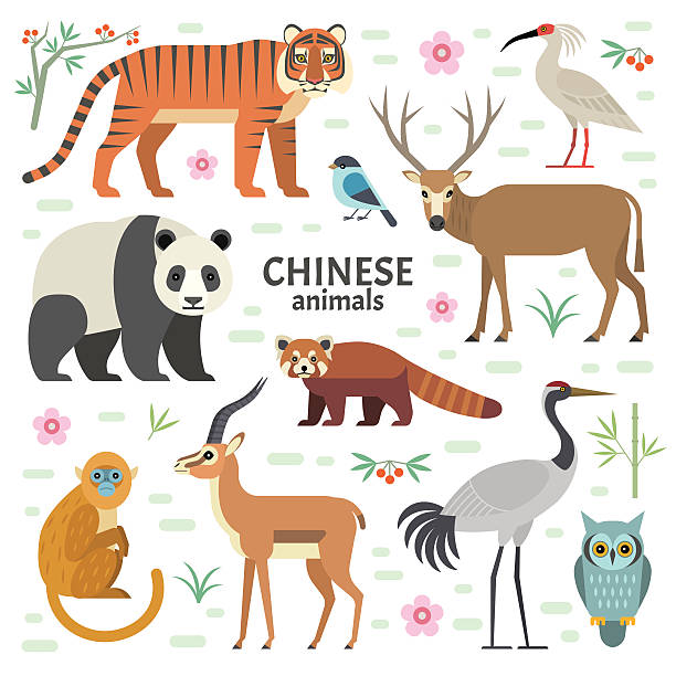 Animals China. Vector illustration of Chinese animals: panda, red panda, David deer, tiger, crane, monkey, ibis, isolated on white backgroun panda species stock illustrations