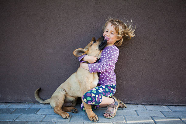 Little girl giving hugs to her puppy, the dog is licking her. Concept devotion. Sincere attachment