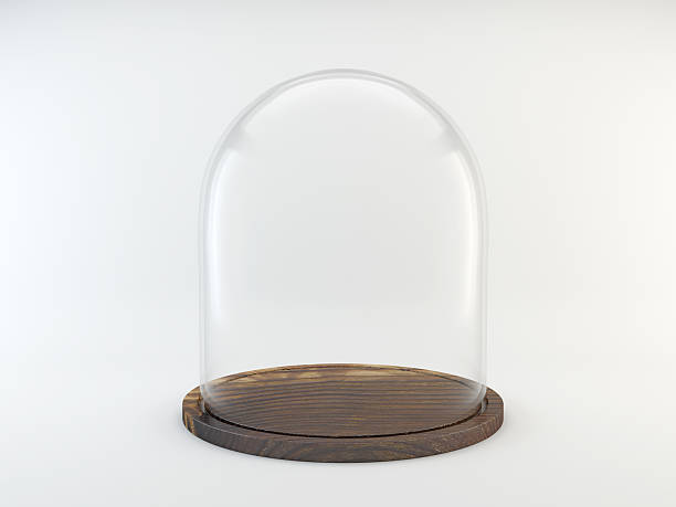 istock Glass dome with wooden tray 599886882