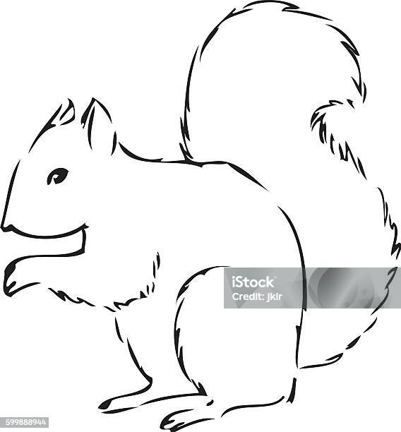 Squirrel Line Art Stock Illustration - Download Image Now - Animal, Animals  In The Wild, Art - iStock