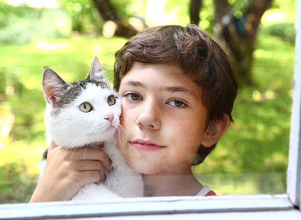 istock boy with cat close up photo 599898412