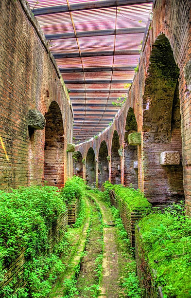 Subterranean passage beneath the arena of the Capua Amphitheatre Subterranean passage beneath the arena of the Capua Amphitheatre - Italy capua stock pictures, royalty-free photos & images