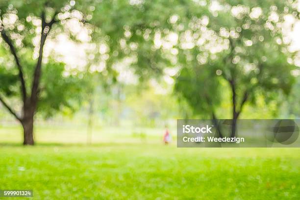 Fondo Borroso La Gente Hace Ejercicio En El Parque Verde Con Bokeh Ligh Foto de stock y más banco de imágenes de Desenfocado