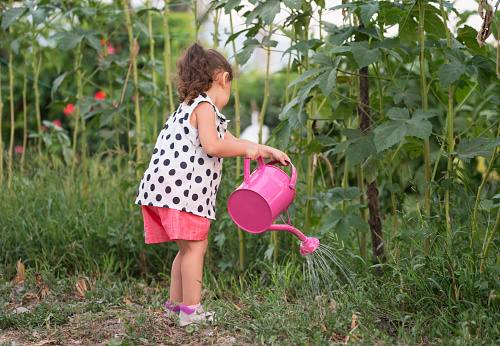 Little girl watering plants in garden