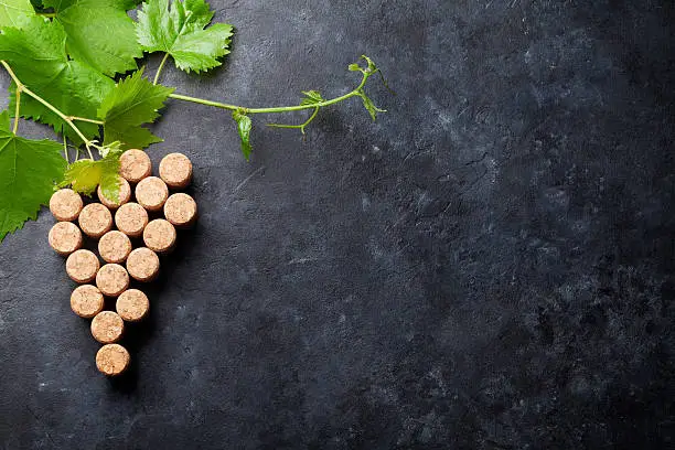 Photo of Wine corks grape shape and vine