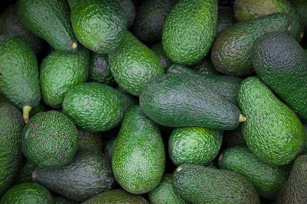 Avocado. avocado, raw, green small avocado stock pictures, royalty-free photos & images