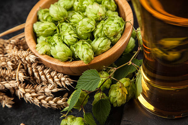 istock Beer glass on dark background 599908180