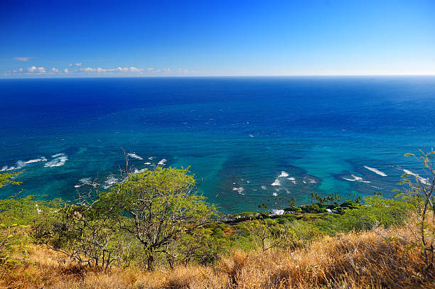 istock Oceanfront houses in Oahu island 599911356