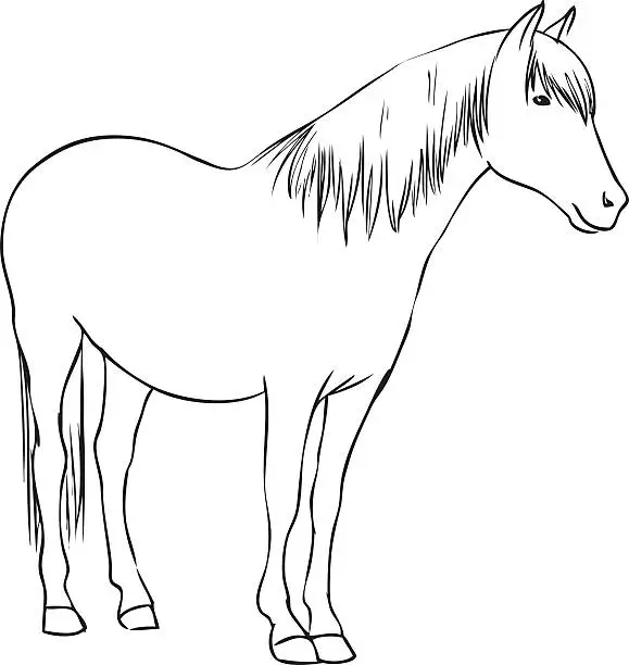 Vector illustration of Horse Line Art