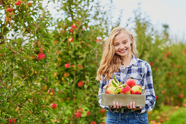 istock Young woman picking apples in garden 599922864