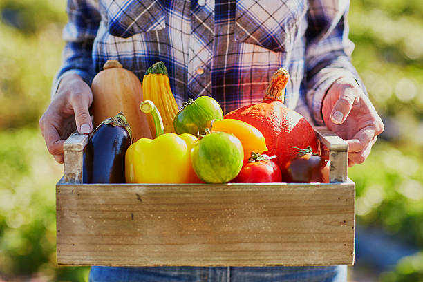 istock Woman with wooden crate of vegetables 599950708