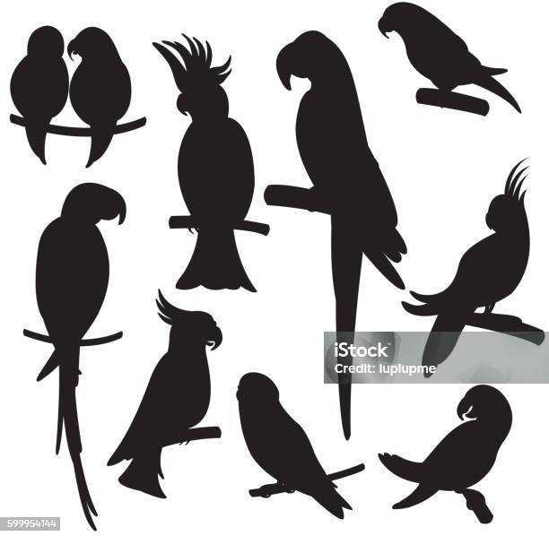 Cartoon Parrots Set Vector Stock Illustration - Download Image Now - Parrot, In Silhouette, Bird