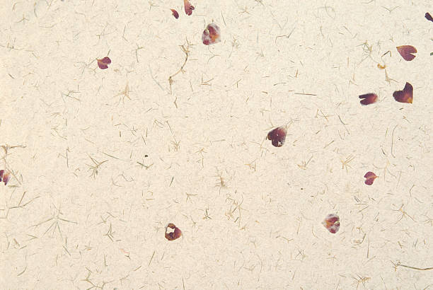istock Rose petal paper. 599954550