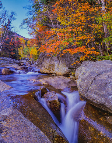 Autumn color fills the hardwood forest along the Peabody River in the White Mountains of New Hampshire