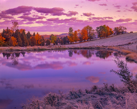 Dawn light cast a warm glow over a frosty pond with sugar maples in the Green Mountains, Vermont