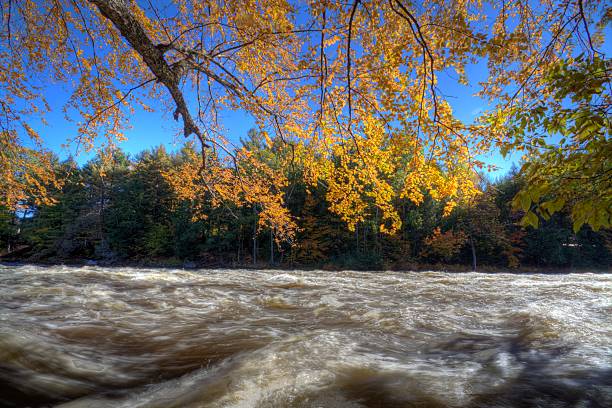 istock Canadian autumn 599957706