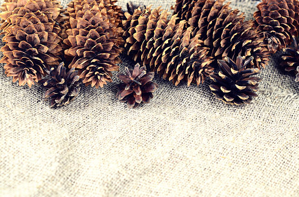 istock Pine and spruce cones on sackcloth 599959590