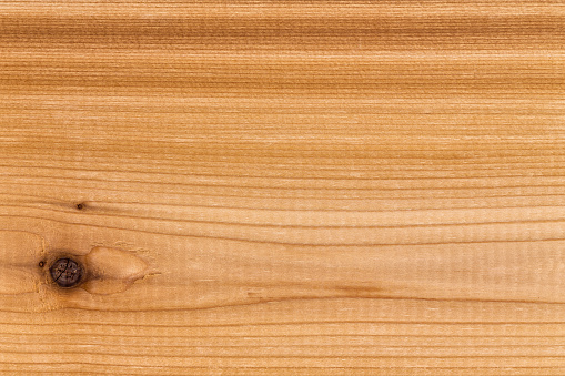 Single solid panel of decorative cedar wood with a distinctive grain and knots in a full frame close up view