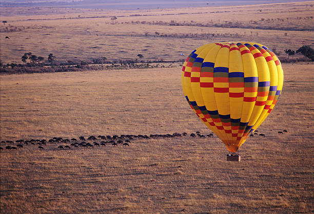istock Wildbeast migration viewed from the baloon, Masai Mara, Kenya 599961122