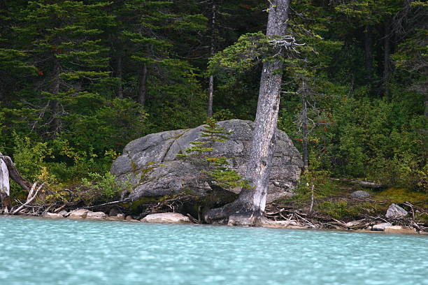 Lake Louis, Banff stock photo