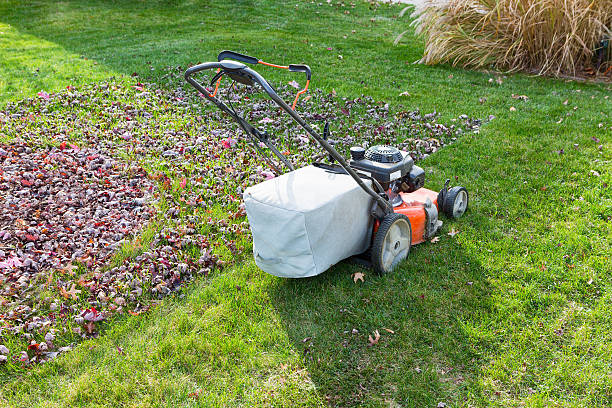 Cutting and bagging grass and leaves in the fall stock photo