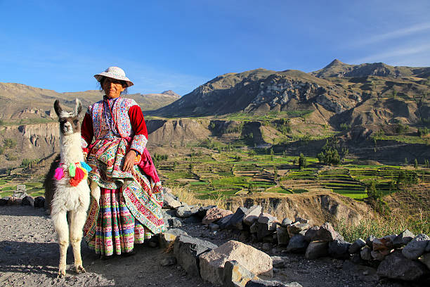 Local woman with llama standing at Colca Canyon in Peru stock photo