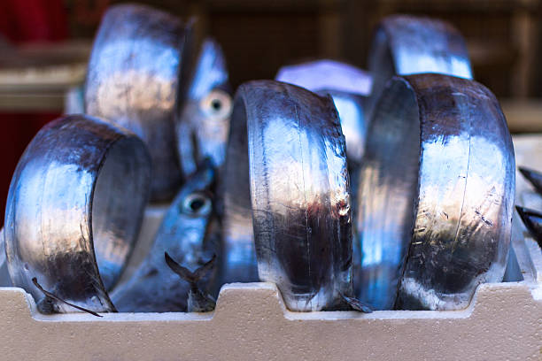 Silver scabbardfish for sale at the fish market in Siracusa/Syracuse, Sicily, Italy.