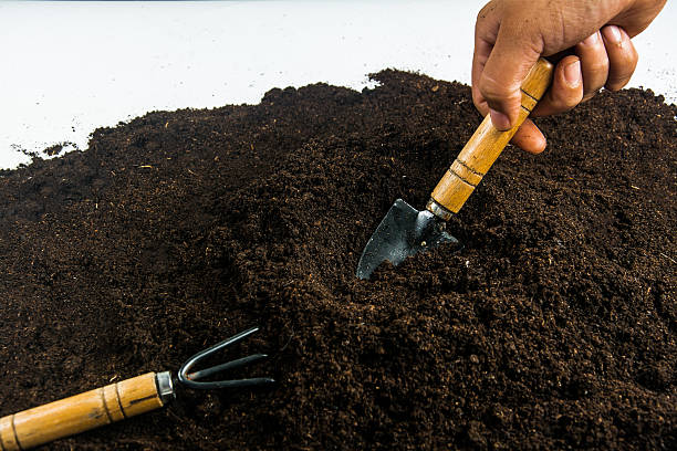 istock Gardening equipment and hand  with soil 599965918
