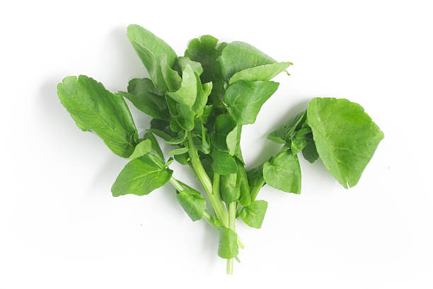 istock Watercress Leaves 599965984
