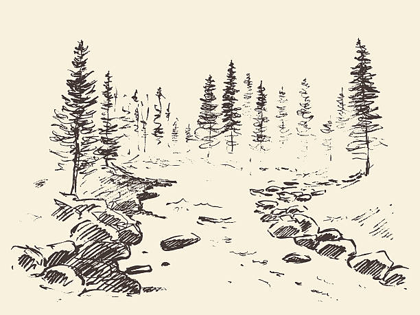 illustrazioni stock, clip art, cartoni animati e icone di tendenza di paesaggio disegnato a mano fiume foresta vettore vintage. - foresta illustrazioni