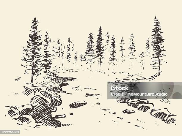 Hand Drawn Landscape River Forest Vintage Vector-vektorgrafik och fler bilder på Skog - Skog, Rita, Träd